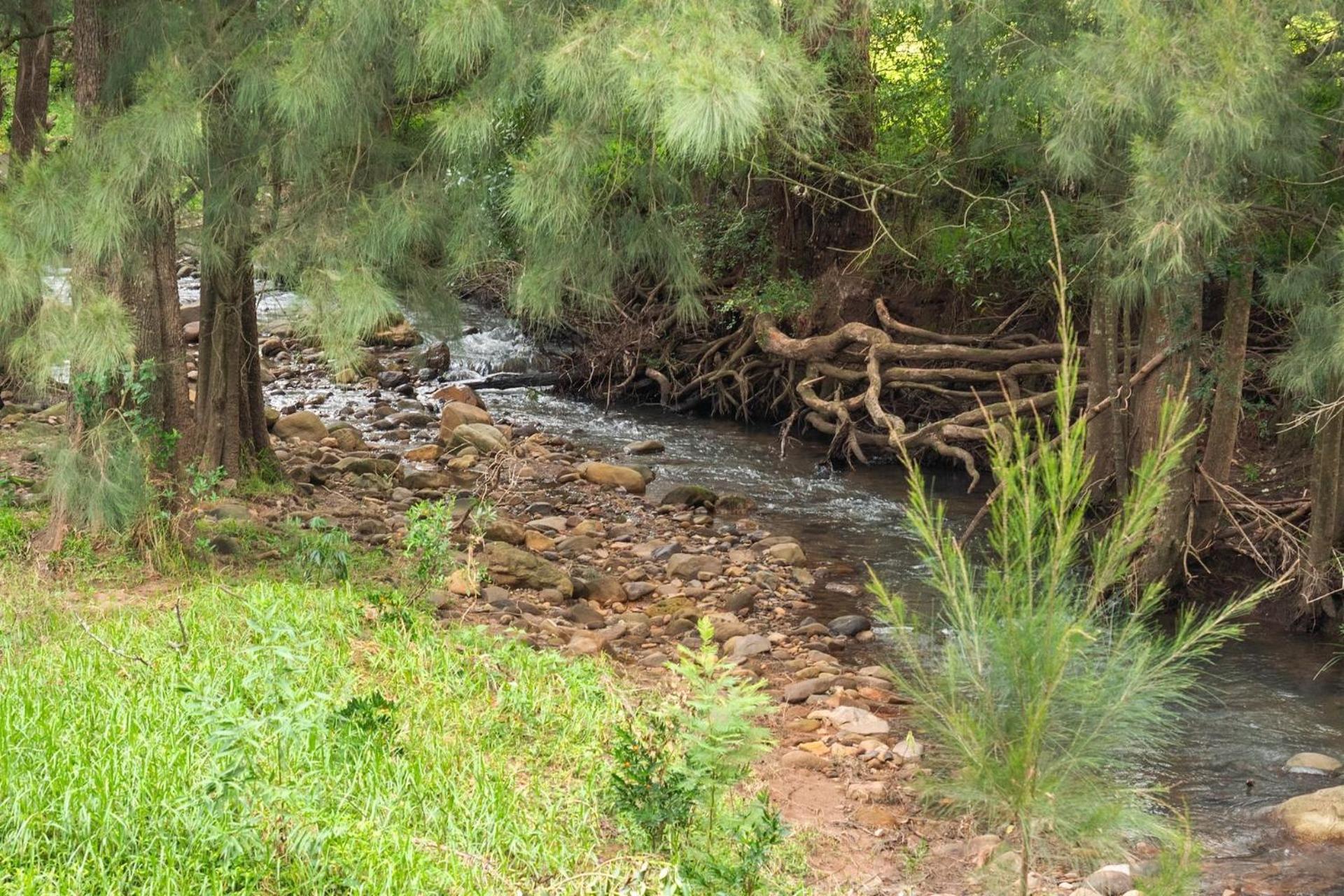 קנגורו וואלי Cottage Comfort מראה חיצוני תמונה